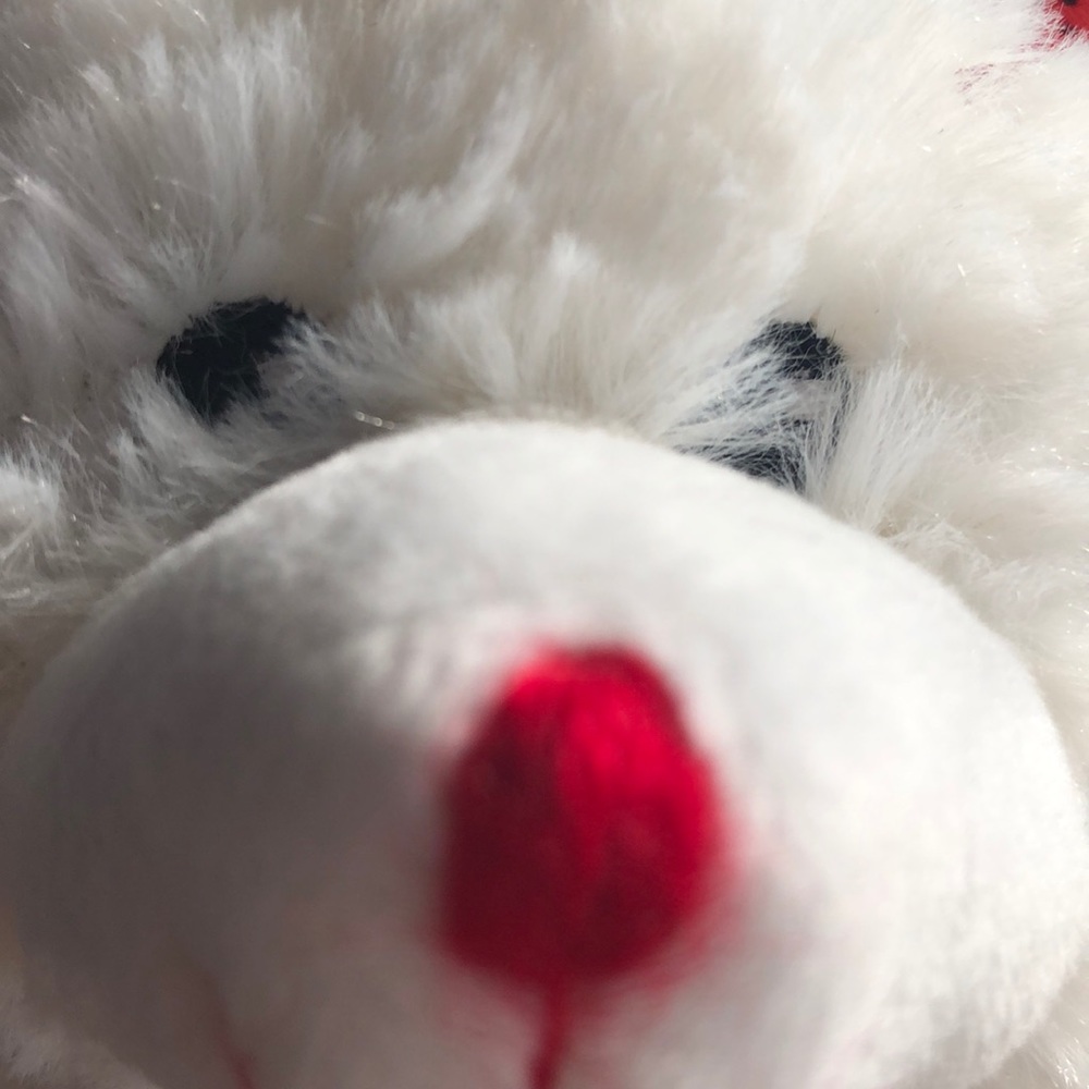 Meet your Posher, Sasha